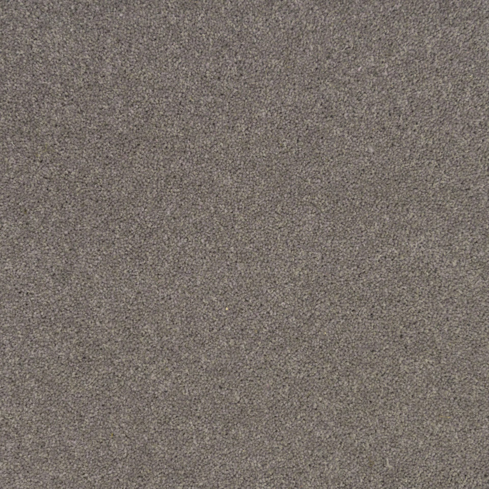 Twist Pile Carpet